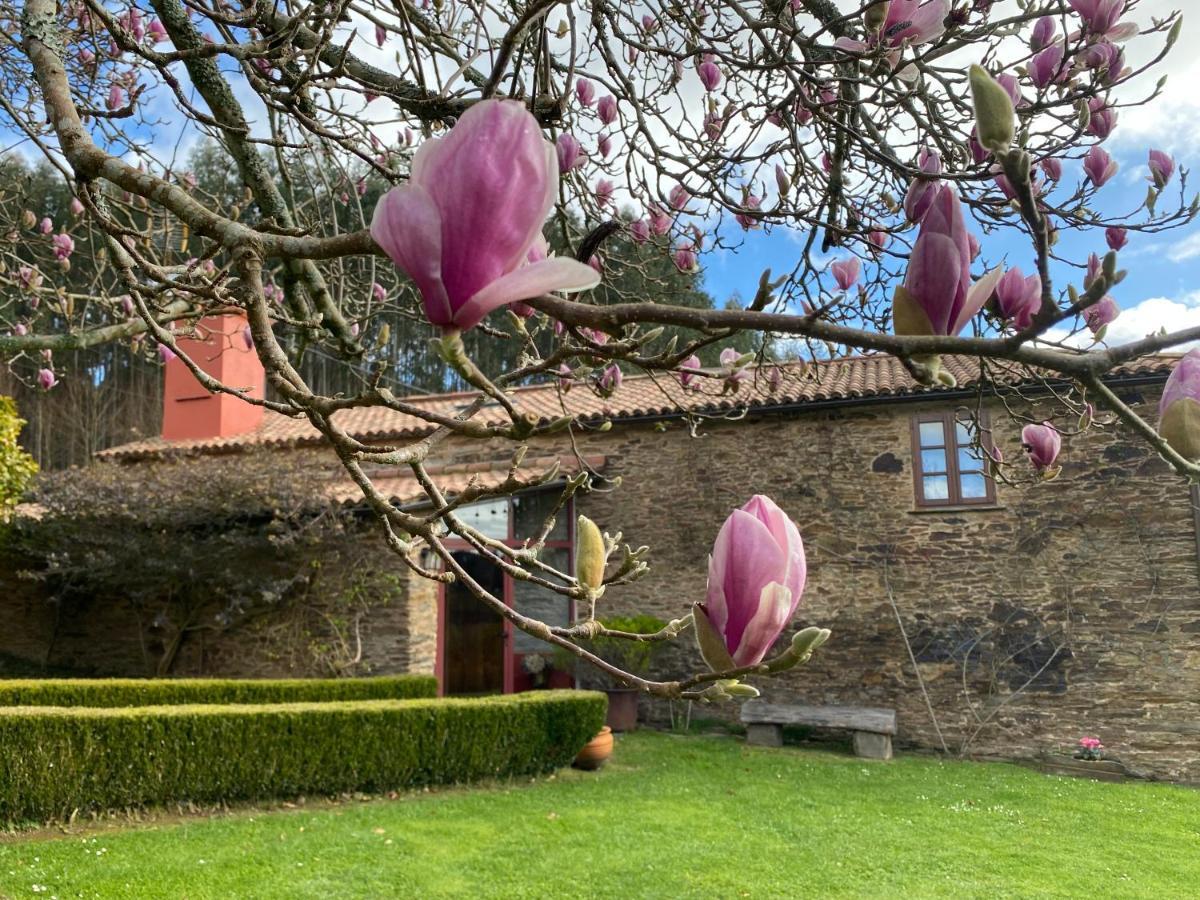 فيلا Casa Castro De Crecente Valdoviño المظهر الخارجي الصورة